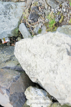 Myrtle Edwards Park