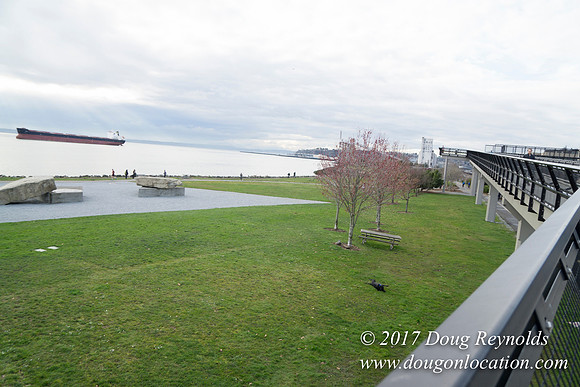 Myrtle Edwards Park