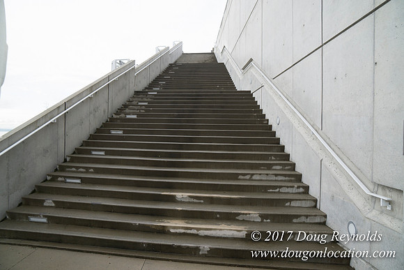 Olympic Sculpture Park