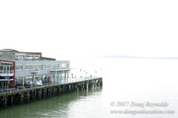 Olympic Sculpture Park