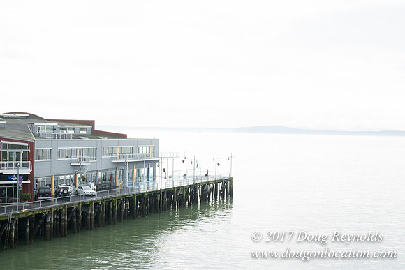 Olympic Sculpture Park