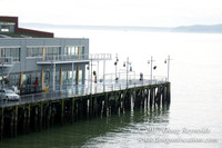Olympic Sculpture Park
