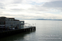 Olympic Sculpture Park