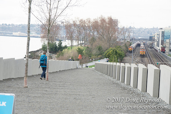 Olympic Sculpture Park