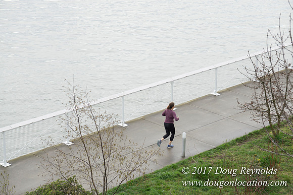 Olympic Sculpture Park