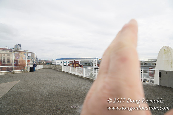 Olympic Sculpture Park
