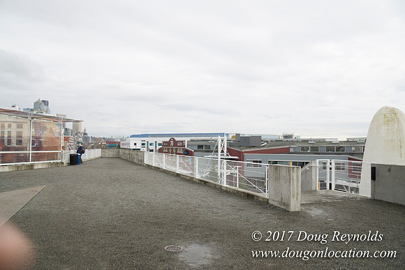 Olympic Sculpture Park