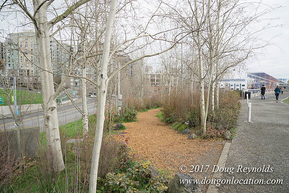 Olympic Sculpture Park