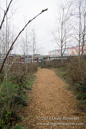 Olympic Sculpture Park