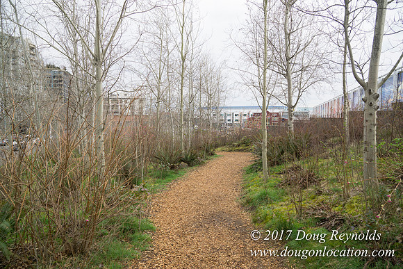 Olympic Sculpture Park