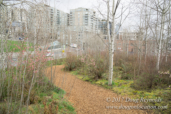 Olympic Sculpture Park