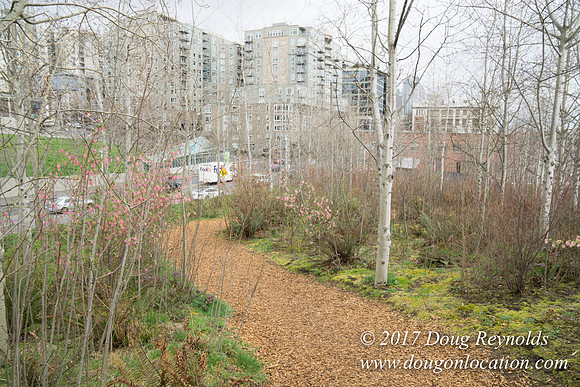 Olympic Sculpture Park