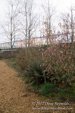Olympic Sculpture Park