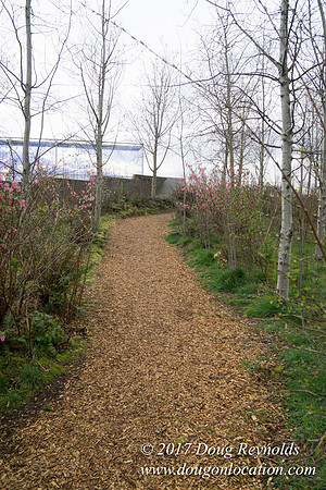 Olympic Sculpture Park