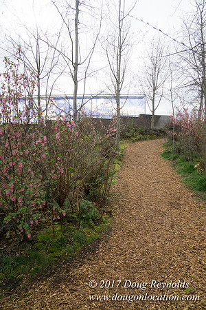 Olympic Sculpture Park