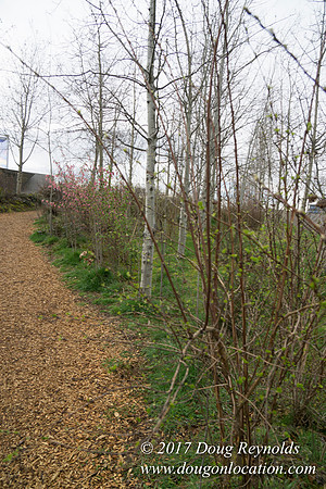 Olympic Sculpture Park