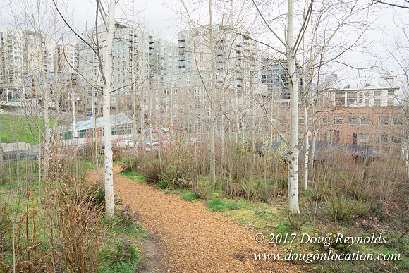Olympic Sculpture Park