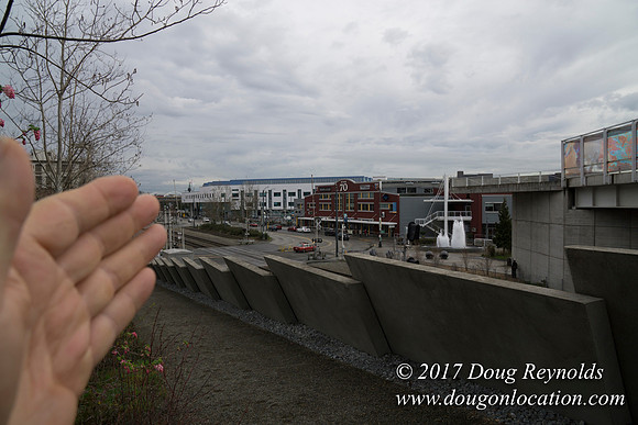 Olympic Sculpture Park