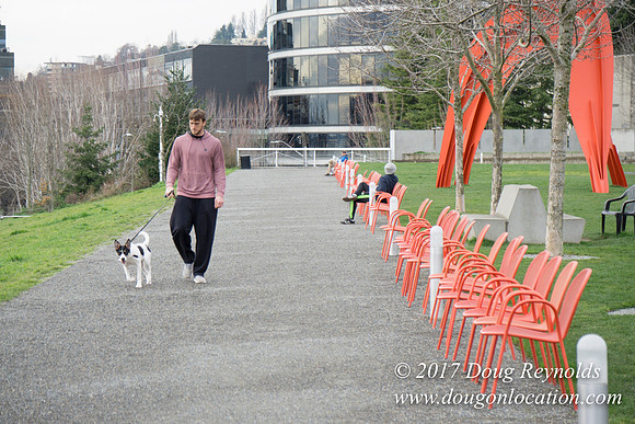 Olympic Sculpture Park