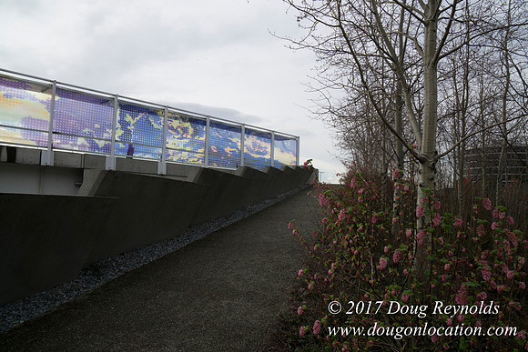 Olympic Sculpture Park
