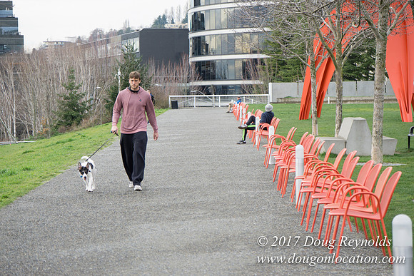 Olympic Sculpture Park