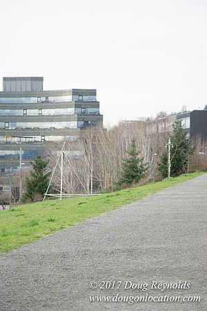 Olympic Sculpture Park