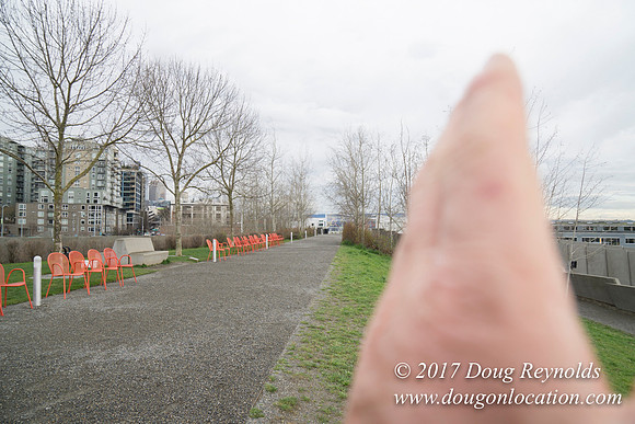 Olympic Sculpture Park