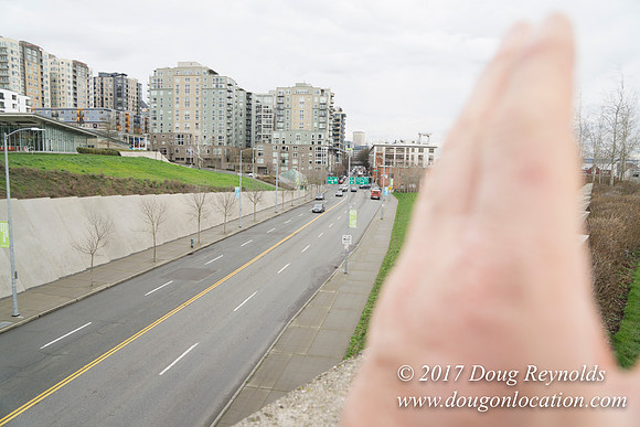 Olympic Sculpture Park
