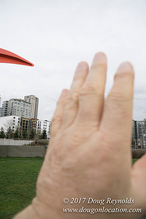 Olympic Sculpture Park