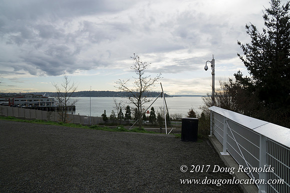 Olympic Sculpture Park
