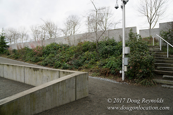 Olympic Sculpture Park