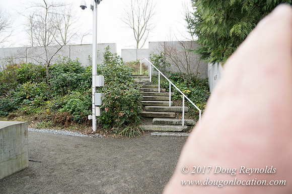 Olympic Sculpture Park