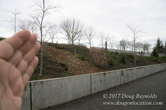 Olympic Sculpture Park