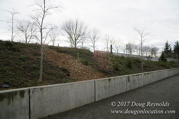 Olympic Sculpture Park