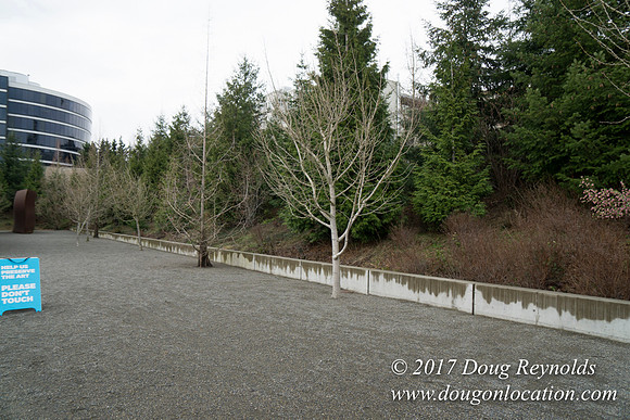 Olympic Sculpture Park