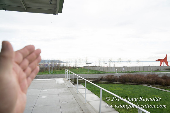 Olympic Sculpture Park