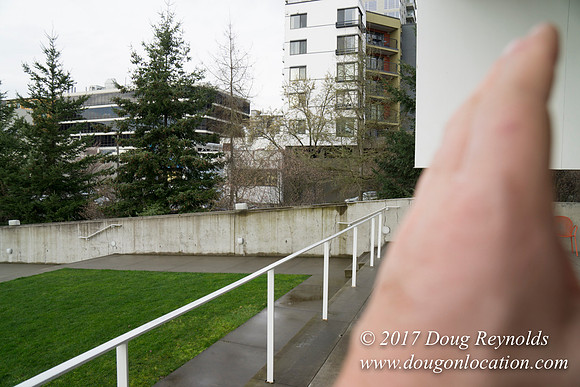 Olympic Sculpture Park