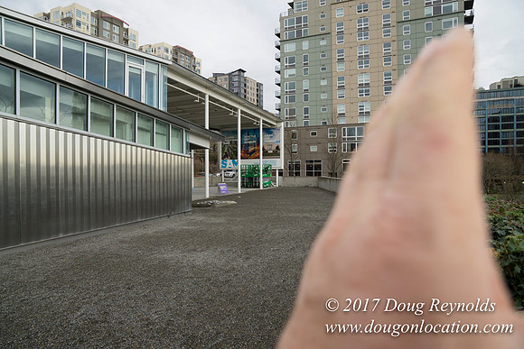 Olympic Sculpture Park