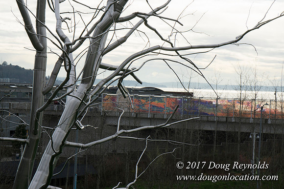 Olympic Sculpture Park