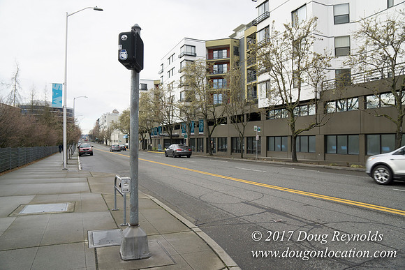 Olympic Sculpture Park