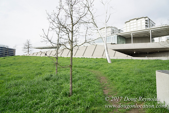Olympic Sculpture Park