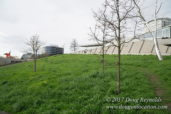 Olympic Sculpture Park