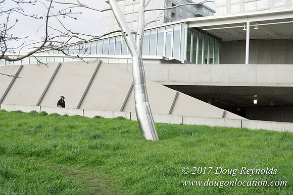 Olympic Sculpture Park