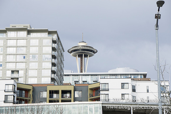 Olympic Sculpture Park