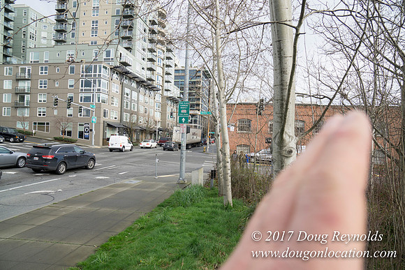 Olympic Sculpture Park
