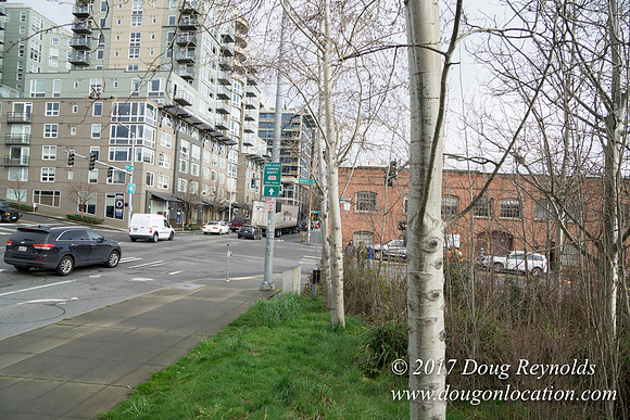 Olympic Sculpture Park