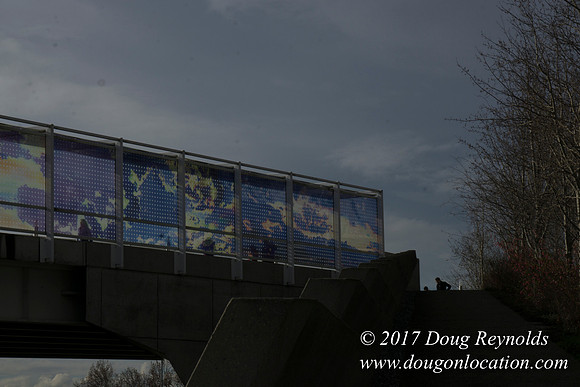 Olympic Sculpture Park