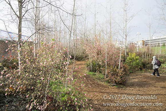 Olympic Sculpture Park