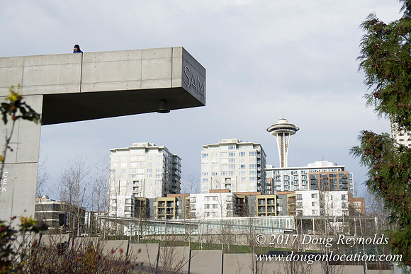 Olympic Sculpture Park