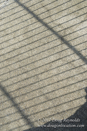 Olympic Sculpture Park